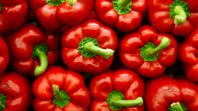 A display of fresh red peppers