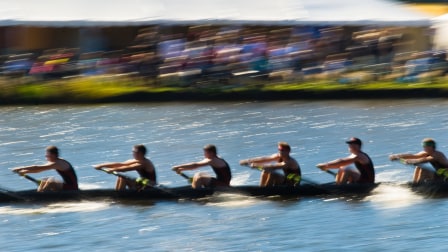 Competitive rowing team paddling in perfect sync during a river rowing race